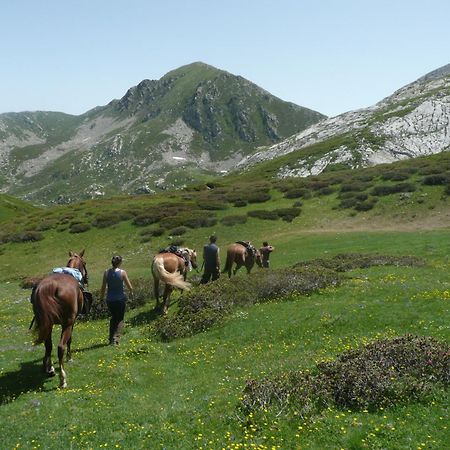 Agriturismo Bio-Ecologico Sant'Isidoro Roccaforte Mondovì Eksteriør bilde