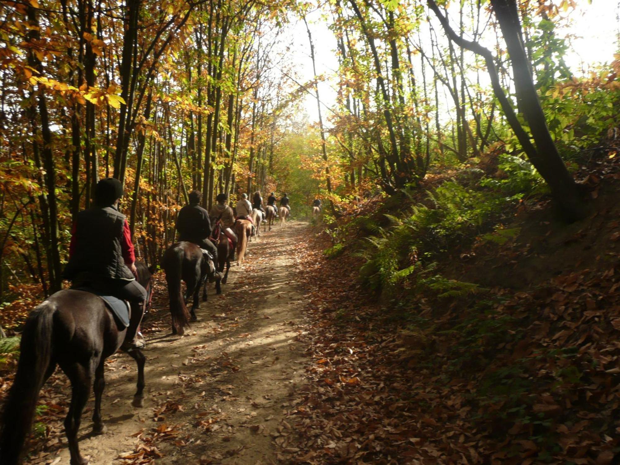 Agriturismo Bio-Ecologico Sant'Isidoro Roccaforte Mondovì Eksteriør bilde