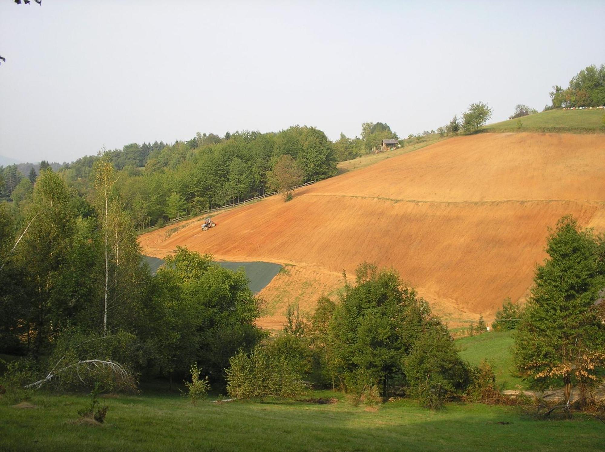 Agriturismo Bio-Ecologico Sant'Isidoro Roccaforte Mondovì Eksteriør bilde