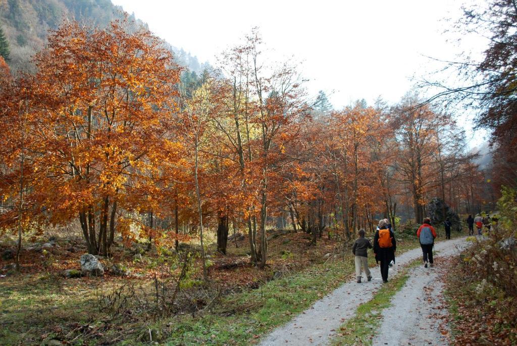 Agriturismo Bio-Ecologico Sant'Isidoro Roccaforte Mondovì Eksteriør bilde
