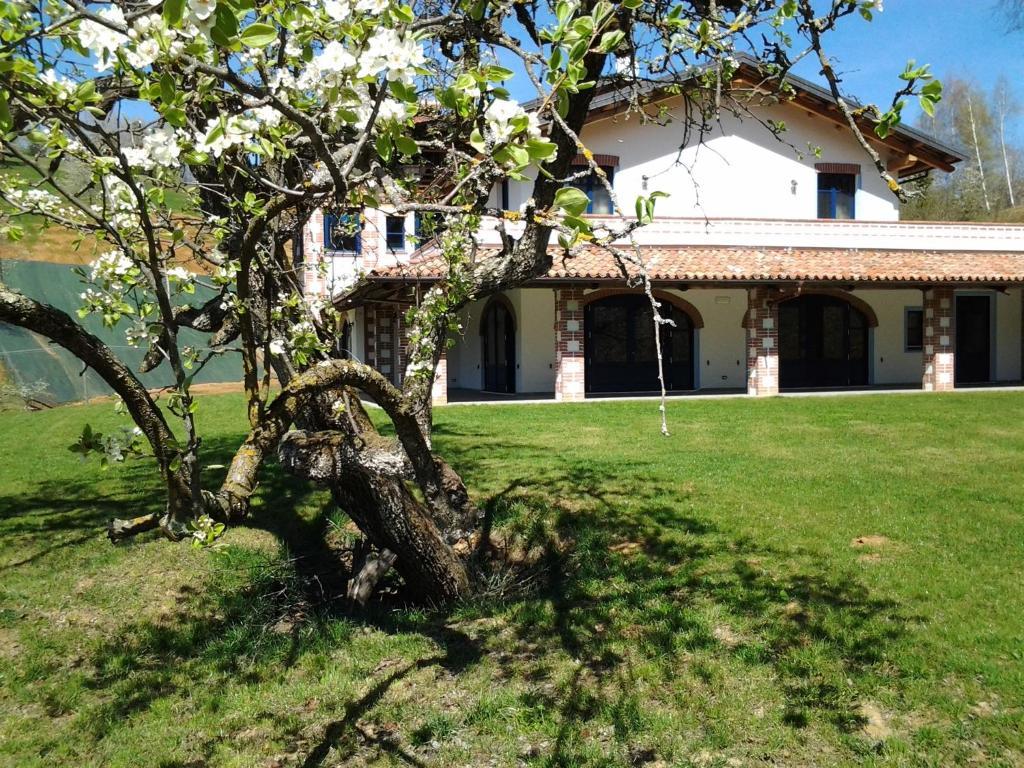 Agriturismo Bio-Ecologico Sant'Isidoro Roccaforte Mondovì Eksteriør bilde