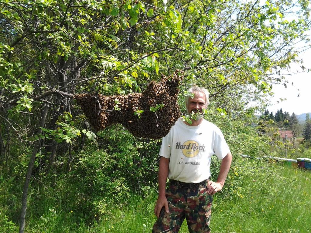 Agriturismo Bio-Ecologico Sant'Isidoro Roccaforte Mondovì Eksteriør bilde