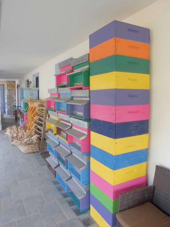 Agriturismo Bio-Ecologico Sant'Isidoro Roccaforte Mondovì Eksteriør bilde