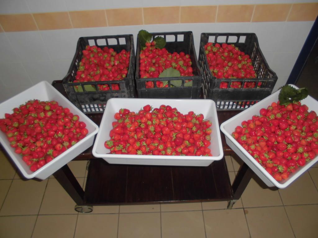 Agriturismo Bio-Ecologico Sant'Isidoro Roccaforte Mondovì Eksteriør bilde